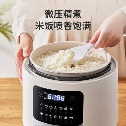 摩动6升电压力锅MD-YFB605 商品图2