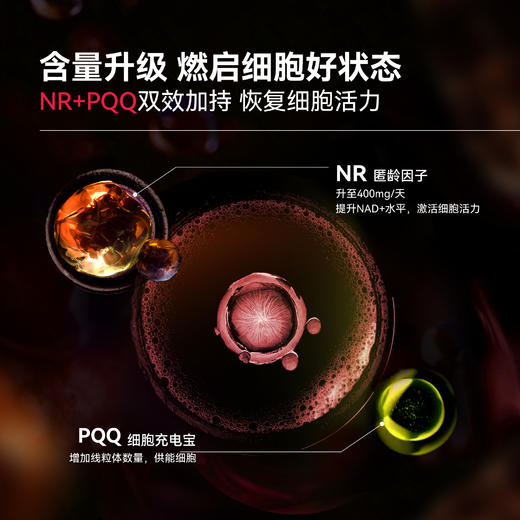 【老客专享】「LAIFE全新护盾片2.0」LAIFE LIFE SHIELD Ⅱ 60片/瓶【母婴商城】 商品图1