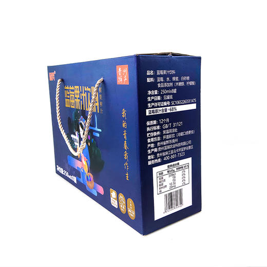 D蓝瑞蓝莓果汁250ml(原汁含量68%） 商品图1