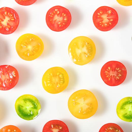 【春沐源科技农业】双色番茄彩虹组合900-1000g丨无土栽培樱桃番茄+金橙蜜茄/柠黄蜜茄 商品图1