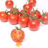 春沐源【高原七彩番茄】高原串收小番茄带枝串茄新鲜圣女果西餐摆盘红色小串茄顺丰包邮 商品缩略图2