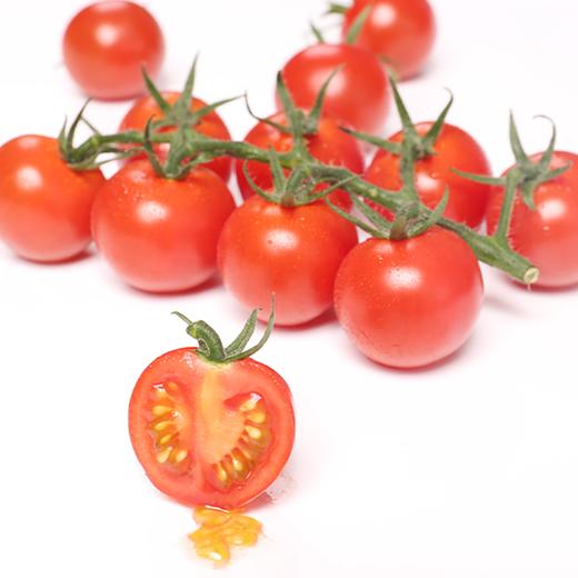 春沐源【高原七彩番茄】高原串收小番茄带枝串茄新鲜圣女果西餐摆盘红色小串茄顺丰包邮 商品图2