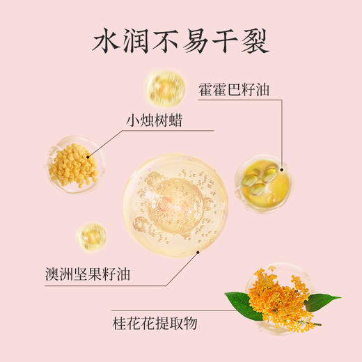 谢馥春 润唇膏保湿双唇3克  42两支（拍对应选项） 商品图4