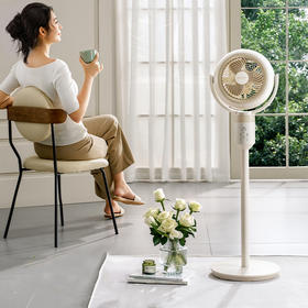 大宇 空气循环扇家用旋转电风扇台立两用落地扇变频F42