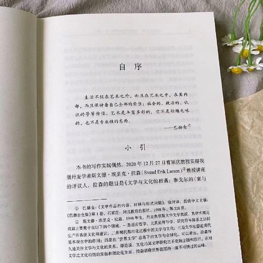 文学文化学：文学研究的终结（外一种） 商品图2