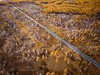 环国旅行—G331北国之秋最美最长边境线—呼伦贝尔金秋摄影7天 商品缩略图9