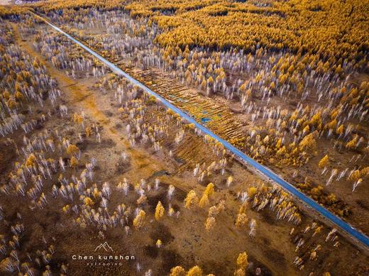 环国旅行—G331北国之秋最美最长边境线—呼伦贝尔金秋摄影7天 商品图9