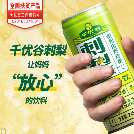 千优谷刺梨高C果汁饮料245ML 商品图2