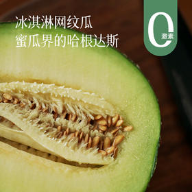 【海阳网纹瓜】一瓜两吃 可脆可软 脆吃清新爽口 放几天吃甜润多汁 细嫩无渣 一口甜蜜润心~1箱2个装