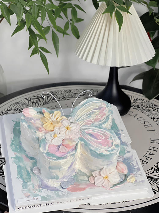 花蝴蝶 商品图2