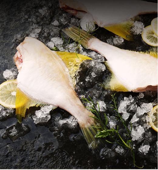 D广远黄金马面鱼275g 商品图0