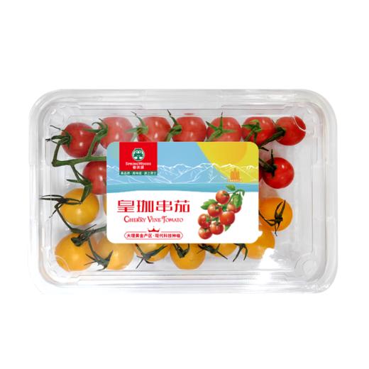 大理春沐源双色串收番茄带枝沙拉新鲜番茄食用  西餐柠黄小串茄 商品图5