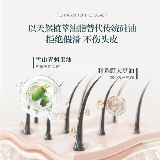 【毛爸专属】薇诺娜宝贝倍润防护洗发露150ml 商品图2