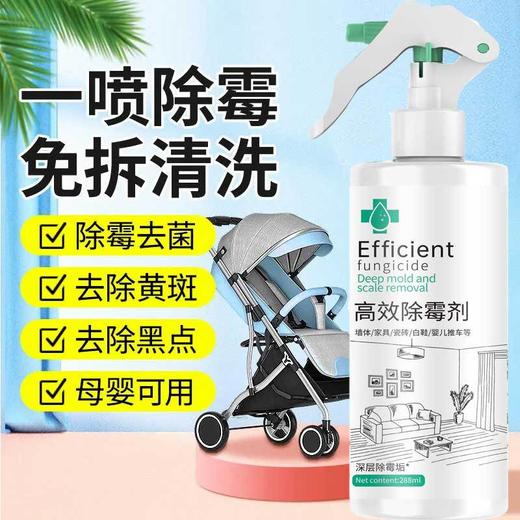 【高效墙体墙面除霉剂】发霉防霉 白墙瓷砖去霉菌斑点 一瓶多用 全方面清洁 商品图2