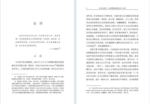 文学文化学：文学研究的终结（外一种） 商品图6