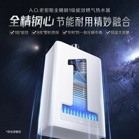 【JSLQ28-ACEWi】1级能效燃气热水器
