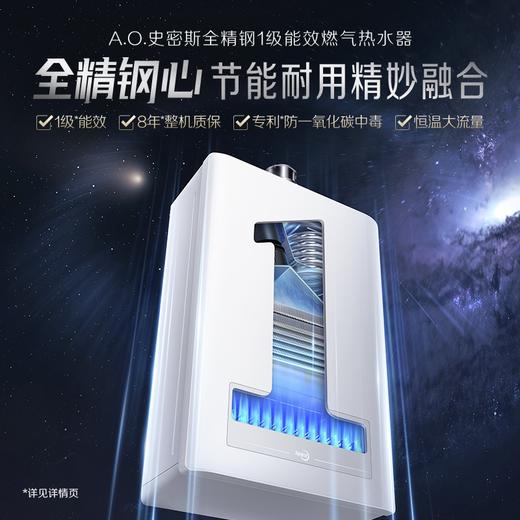 【JSLQ28-ACEWi】1级能效燃气热水器 商品图0
