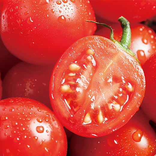 春沐源【高原七彩番茄】安第斯红小番茄小时候的味道 商品图5