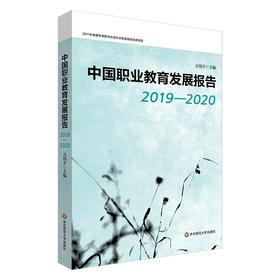 中国职业教育发展报告 2019—2020 石伟平主编