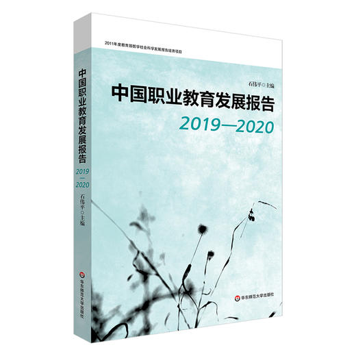 中国职业教育发展报告 2019—2020 石伟平主编 商品图0