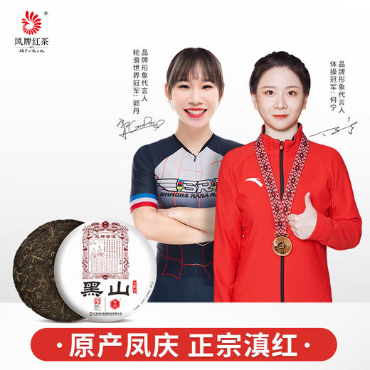 凤牌普洱茶 云南黑山普洱生茶357g 商品图0