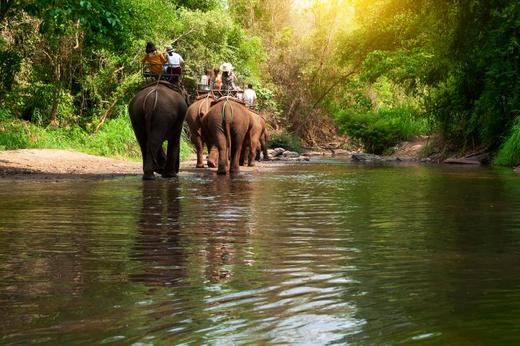 氧气旅行团—清迈·私享家5天4晚 商品图1
