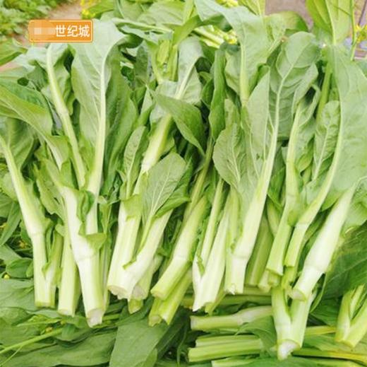 菜苔500g【BC】【QC】 商品图2