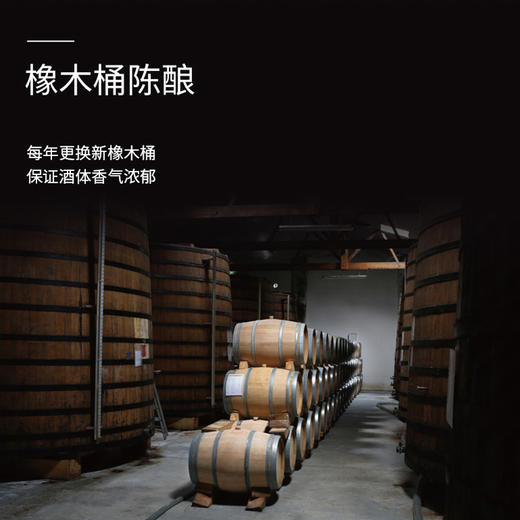 法国进口弗雷蒙骑士品味XO白兰地1.5L 商品图3
