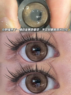 GOLD 发财闪闪金·日抛十片装