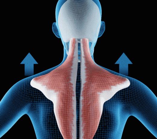 3D仿真人手揉捏肩颈按摩器~✅两种按摩模式 ✅2000MAH 续航力 ✅2档力度可轻重选择 ✅可拆布套 ✅无线自由按摩|休闲宅家好搭档~肩背带式设计解放双手！肩颈、斜方肌、腰腹，想按哪里按哪里！ 商品图10