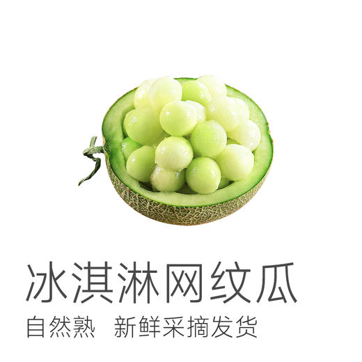 【海阳网纹瓜】一瓜两吃 可脆可软 脆吃清新爽口 放几天吃甜润多汁 细嫩无渣 一口甜蜜润心~1箱2个装 商品图1