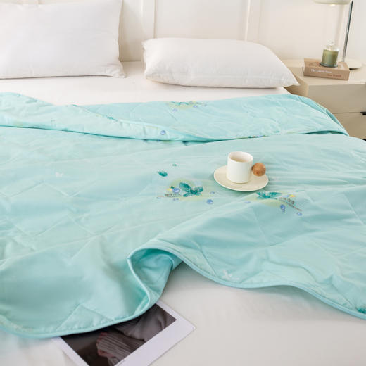 杉杉（FIRS）薄荷凉凉柔润被180×210cm 商品图6