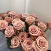 群友专享 | 卡布奇诺玫瑰 5枝 商品缩略图1