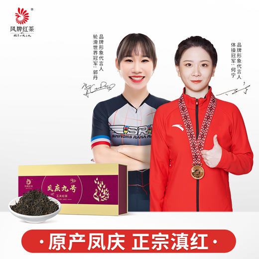 凤牌红茶 云南特级滇红茶凤庆九号礼盒装100g包邮 商品图0