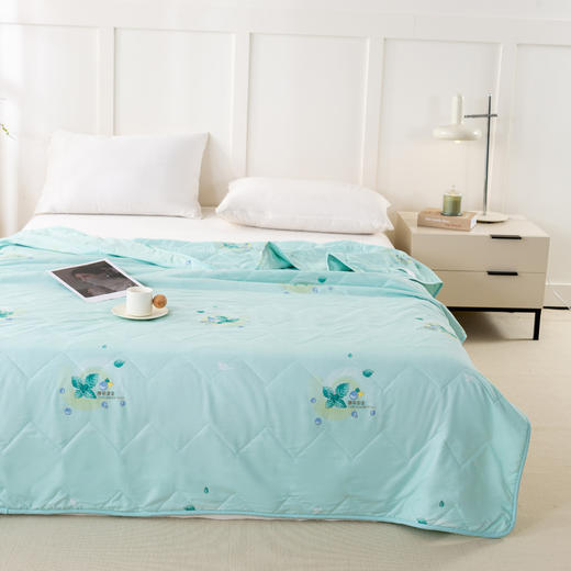 杉杉（FIRS）薄荷凉凉柔润被180×210cm 商品图1