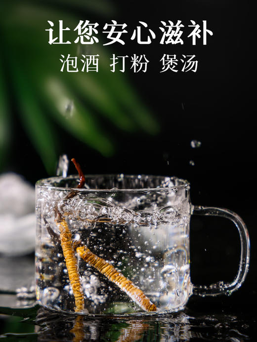 【正宗同仁堂品牌】北京同仁堂 冬虫夏草20/30克 礼盒装SY 商品图4