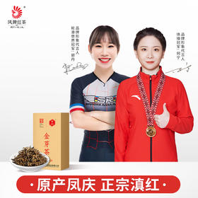 【热销爆款】凤牌红茶 云南滇红金丝金芽茶袋装250g滇红