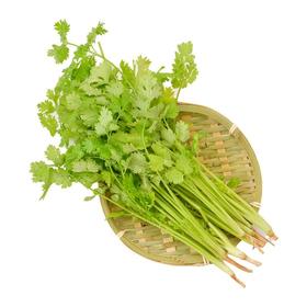 香菜  约50g/袋