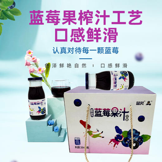 D蓝瑞蓝莓果汁268ml（原汁含量80%） 商品图0