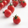 春沐源【高原七彩番茄】安第斯红小番茄小时候的味道 商品缩略图1