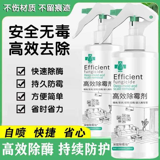 【高效墙体墙面除霉剂】发霉防霉 白墙瓷砖去霉菌斑点 一瓶多用 全方面清洁 商品图1