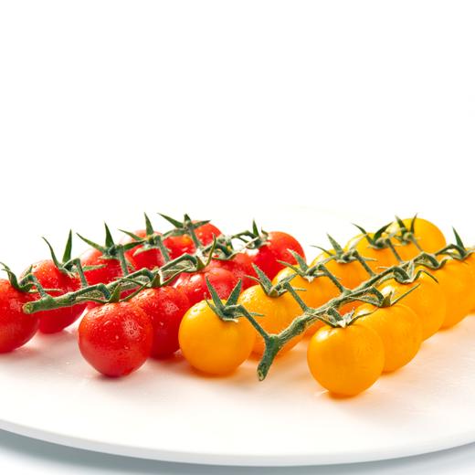 大理春沐源双色串收番茄带枝沙拉新鲜番茄食用  西餐柠黄小串茄 商品图0