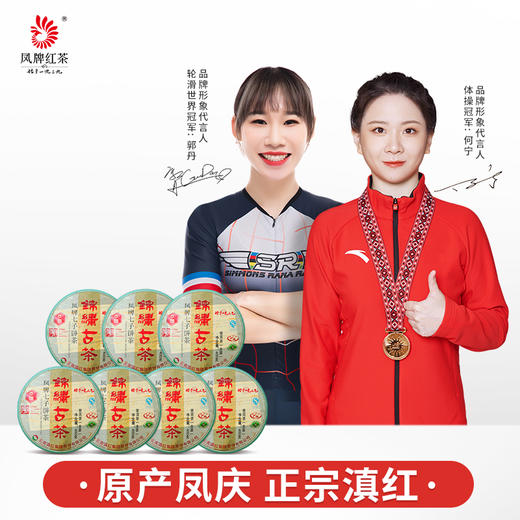 凤牌普洱茶 茶叶 生茶古树纯料 凤牌锦绣古茶买六送一 商品图0