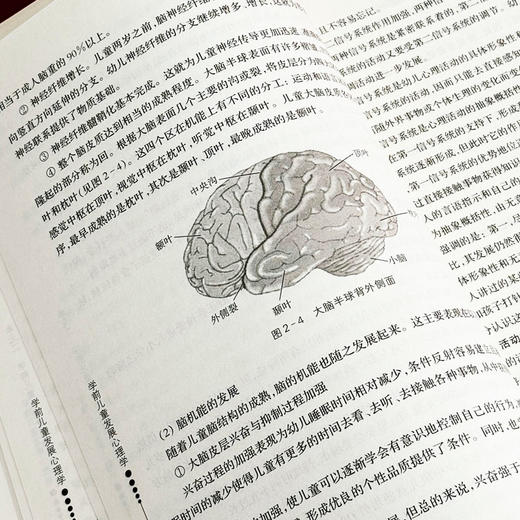 学前儿童发展心理学 张丽丽 高职高专学前教育专业 基础核心课教材 0—3岁婴儿心理发展 商品图6