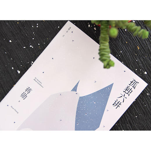 孤独六讲 蒋勋代表作，“孤独三书”系列百万册特别纪念版 平装 商品图6