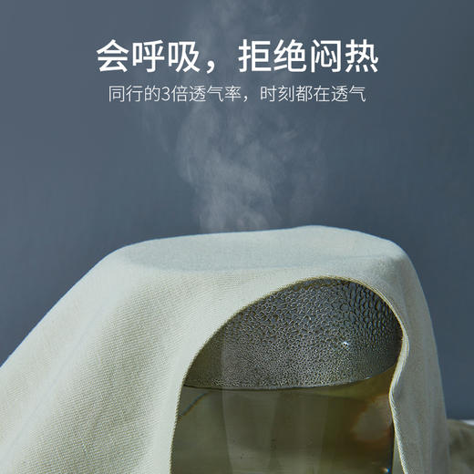 女士内裤女纯棉无痕透气性感女士三角裤石墨烯内裆日系少女生短裤 商品图3