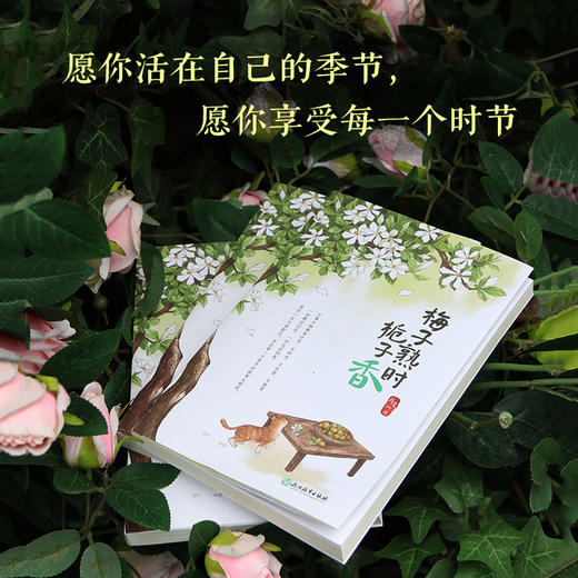 梅子熟时栀子香    肖复兴 散文精选集 经典美文舒缓治愈温暖文字 商品图1