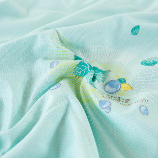 杉杉（FIRS）薄荷凉凉柔润被180×210cm 商品图7