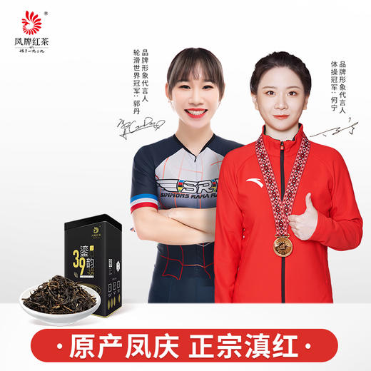 凤牌红茶 茶叶 云南滇红茶 39鎏韵特级工夫红茶罐装250g 浓香型 商品图0
