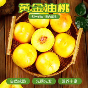 特价！正宗黄金油桃自然成熟新鲜水果